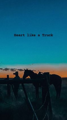 a couple of horses standing next to each other on a field at sunset with the words heart like a truck