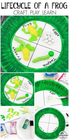 the life cycle of a frog craft is shown with instructions to make it in green and white