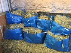 bags full of hay sitting on the ground