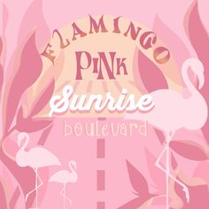 the flamingo pink sunrise boulevard sign is in front of two flamingos and palm trees