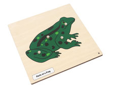 a wooden puzzle with a green frog on it