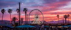 a crowd of people standing around a ferris wheel at sunset with palm trees in the background