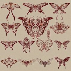 a bunch of different types of butterflies on a beige background with red ink and gold foil