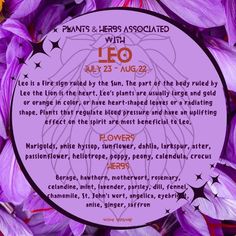 the leo sign surrounded by purple flowers with stars on it's sides and words below