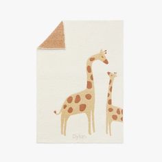 two giraffes standing next to each other in front of a white background