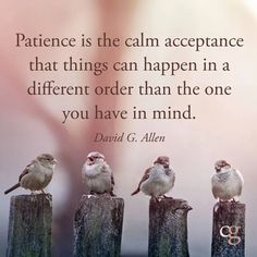 three little birds sitting on top of wooden posts with a quote above them that says,'the best practice is to be patient