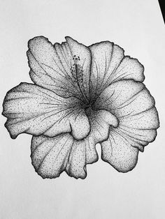 a black and white photo of a flower on a piece of paper with dots in it