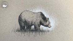 a drawing of a bear standing in the grass