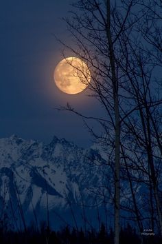 the full moon is shining brightly in the night sky over trees and mountains with snow on them