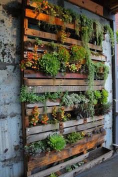 a wooden pallet filled with lots of different types of plants on it's side