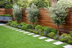 an image of a garden with grass and trees in the back yard, surrounded by wooden fence