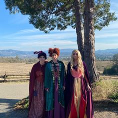 three women dressed up in costume standing next to a tree and fence with mountains in the background