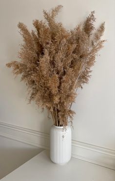 dried plants in a white vase against a wall