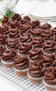 chocolate cupcakes on a cooling rack with white plates in the backgroud