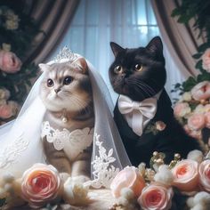 two cats dressed up as bride and groom in front of pink roses, with one cat wearing a tiara