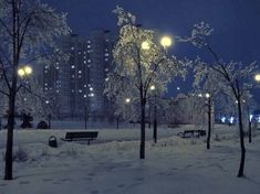 snow covered park benches and street lights in the distance at night with buildings lit up behind them