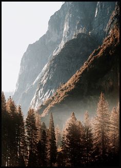 the mountains are covered with trees and fog