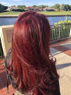 Level 5 Red Hair, Red Hair No Bleach Dark Brown, Red Hair Over Brown, Fancy Hair Color, Dark Red Hair Aesthetic, Fancy Salon, Cute Red Hair, Red Hair Ideas