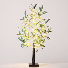 a small tree with lights in it on a table