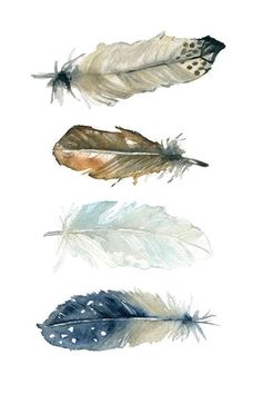 three watercolor feathers are shown on a white background