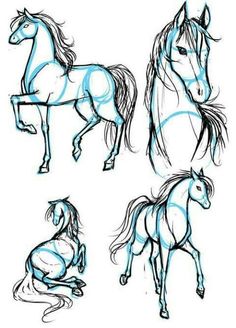 some drawings of horses on a white background