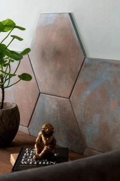 a potted plant sitting on top of a wooden table next to a bookshelf