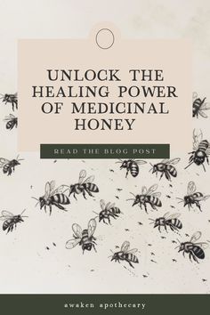 FromDiscover the remarkable benefits of medicinal honey! Enhance your natural medicine cabinet with the potent medicine of honey. Explore the healing power of nature and unlock a world of wellness and vitality. This article is a "plant profile" of honey with a few easy honey based recipes to help you boost your health and wellbeing. Healing Power Of Nature