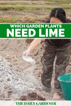 a woman is digging in the dirt with a green bucket and white plastic container that says, which garden plants need lime