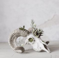 an animal skull with flowers in it's mouth on a table next to a wall