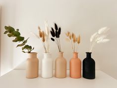 four vases with plants in them on a shelf