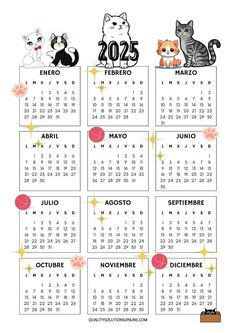 Dog Cat Photos, Online Free Stuff, Mini Desk, Calendar Design, Crazy Cat Lady, Staying Organized