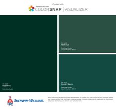 the colorsnap visualizer is shown in green and white, with text that reads color