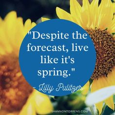 a sunflower with a quote on it saying, despite the forecast, live like it's spring