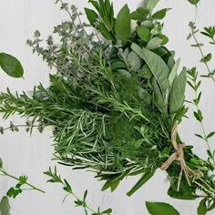 a bunch of green herbs on a white surface