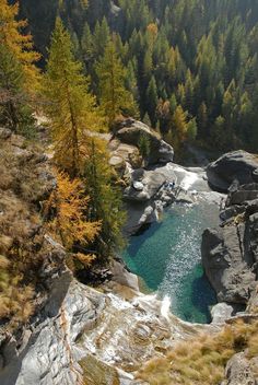 a river running through a forest filled with lots of rocks and trees in the background