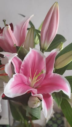 a vase filled with pink and white flowers