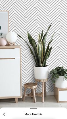 a room with some plants on the floor and a white cabinet in front of it