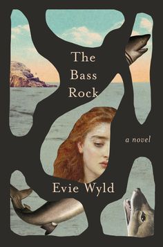 the bass rock by eve wyld