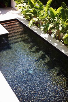 an outdoor swimming pool surrounded by plants and water features clear blue water, with white edgings on the edge