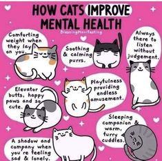 how cats improve mental health poster on pink background with white and black cats in conversation