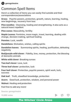 Diy Potion Ingredients, Potion Ingredients List, Grimoire Inspiration, Spell Ingredients, Hoodoo Magic, Hoodoo Spells, Easy Spells