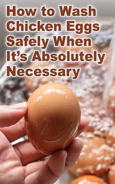 someone holding an egg in their hand with the words how to wash chicken eggs safely when it's absolutely necessary