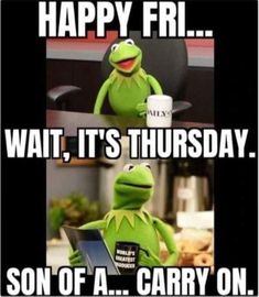 kermie the frog sitting in front of a laptop with caption that says happy fri wait, it's thursday son of a carry on