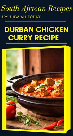 the cover of south african recipes try them all today, with an image of curry