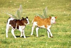 two cows with wings on their heads walking in the grass