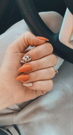 Leopard cream and burnt orange acrylic nails Burnt Orange Nails Fall Short, Nails Acrylic Burnt Orange, Burnt Orange Cheetah Nails, Orange Nails With Leopard Print, Orange And Cheetah Nails, Burnt Orange Nails Acrylic With Design, Orange Nails Leopard, Fall Nails Short Stiletto, Leopard Print Nails Orange