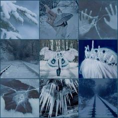 there are many different pictures with snow and icicles on the bottom one is an owl