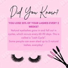 Lash Facts, Eye Lash Care, Brow Waxing, Esthetician Inspiration, Makeup Courses, Lash Quotes, Beauty Courses