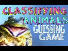 a frog with its mouth open and the words classifying animals gusing game on it