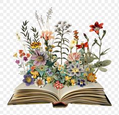 an open book with flowers and leaves in it, on a transparent background png